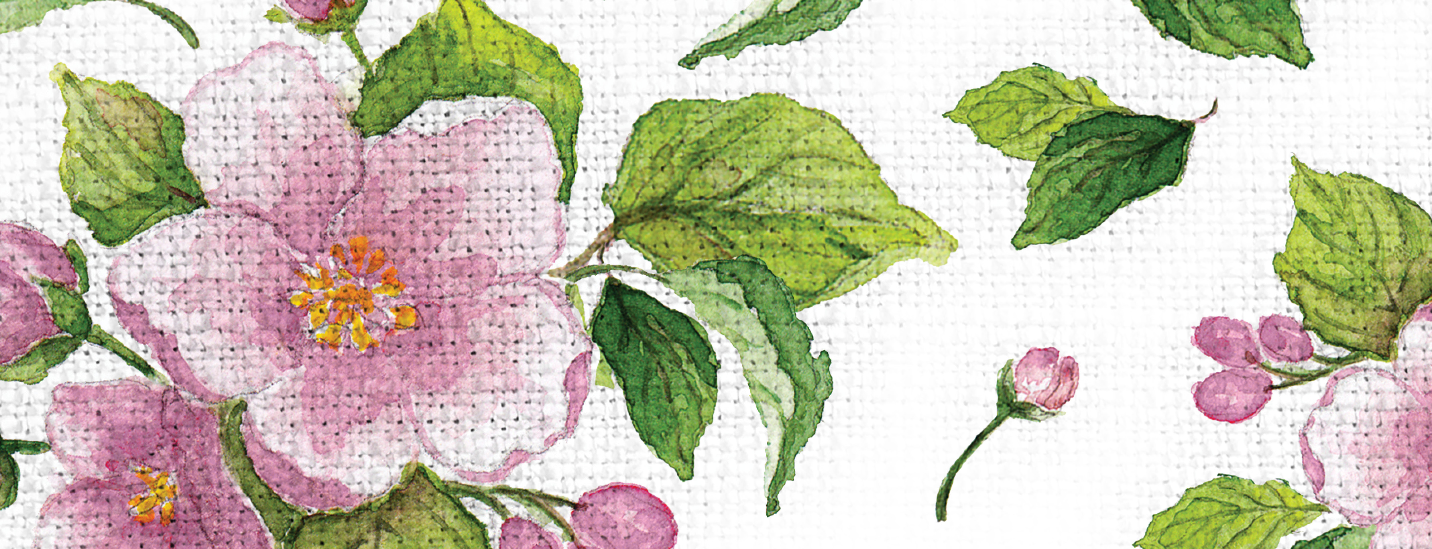 Apple Blossom Social Artwork