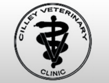 Cilley Vet Clinic
